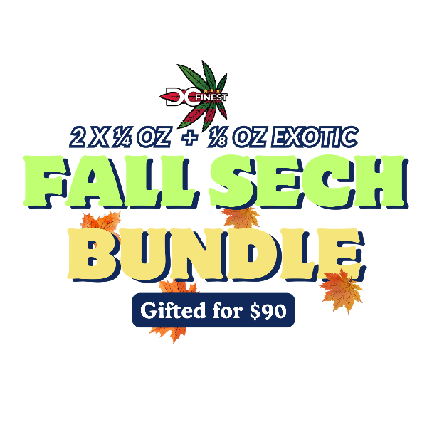 Fall Sech Bundle