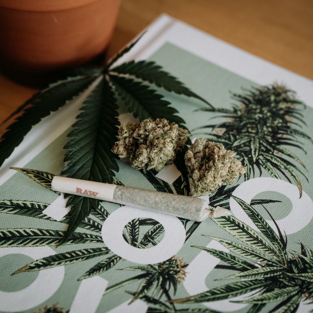 rolled cannabis on a coffee table book