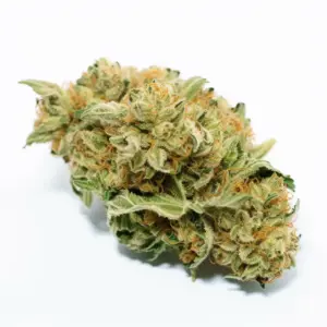 Jack Herer Strain