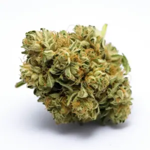 Lemon Runtz Cannabis Strain