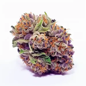 Purple Cream Cannabis Strain