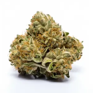 Blueberry Headband Indica Strain