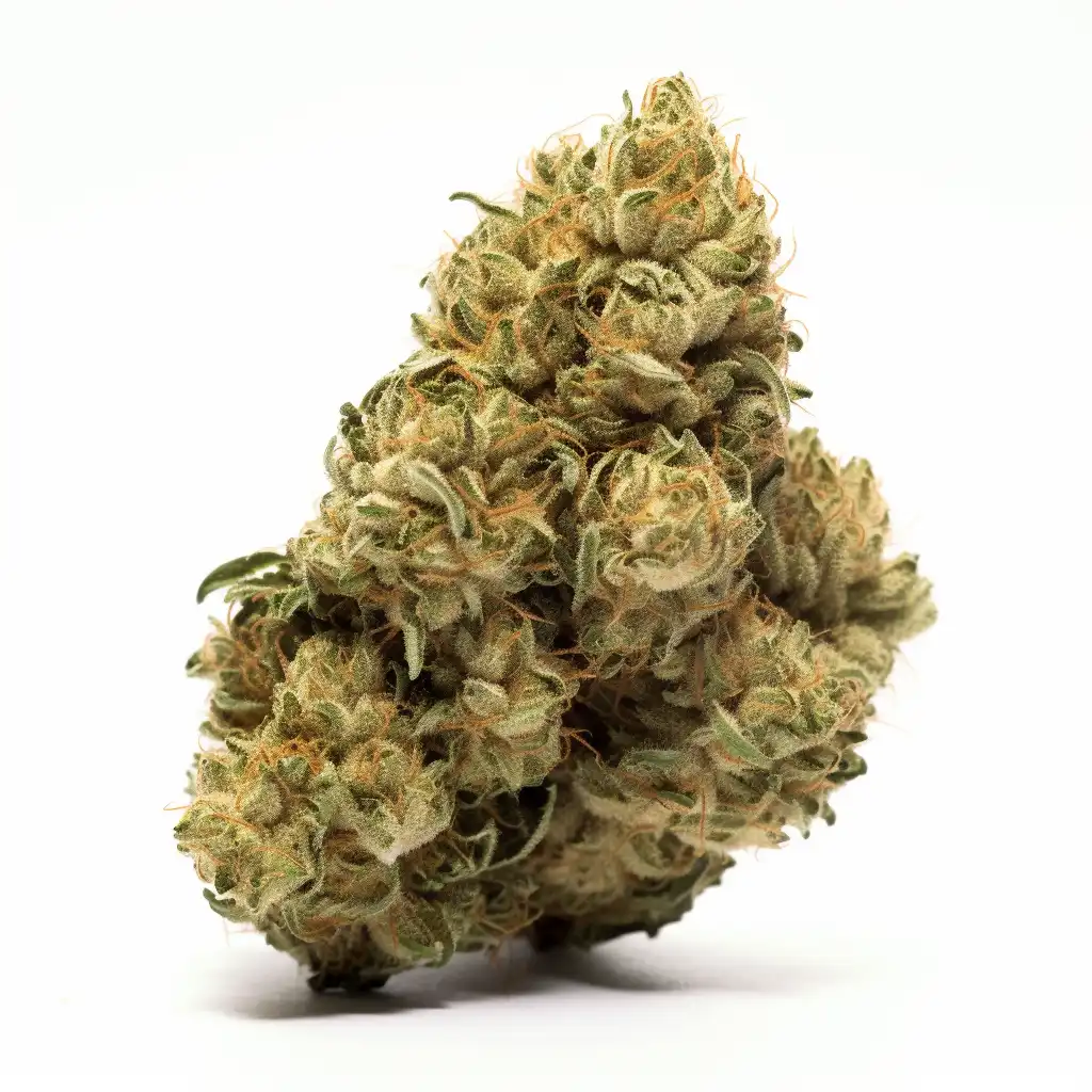 Casey Jones Cannabis Strain