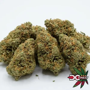Dirty Girl Cannabis Strain Washington DC 2026