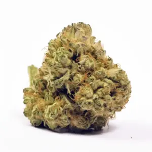 Hindu Kush Indica Strain