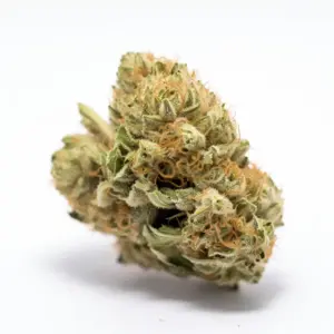 Outlaw OG Strain