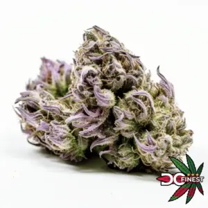 Purple Gorilla Indica Strain