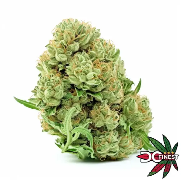 Limon Sativa Flower DC Finest