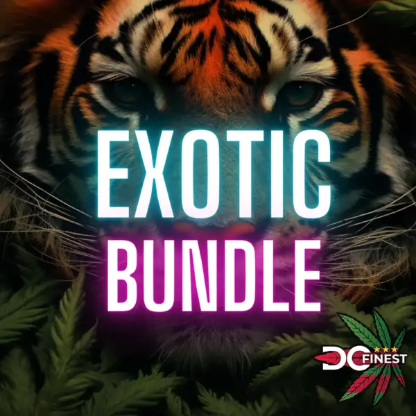 New Year Exotic 1/2 OZ Bundle!