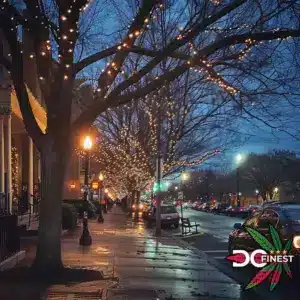 Christmas Time in Washington DC