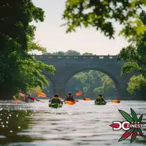 Kayaking on the Potomac River in Washington DC