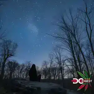 Star gazing at Rock Creek Park in Washington DC