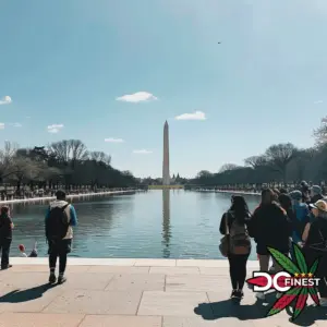 Tourists at the national mall in Washington DC