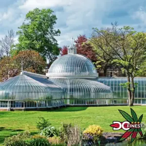 420 stoner activities in Washington DC - United States Botanic Center