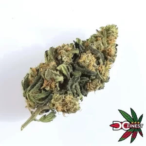 Cheesecake Cannabis Strain Washington DC