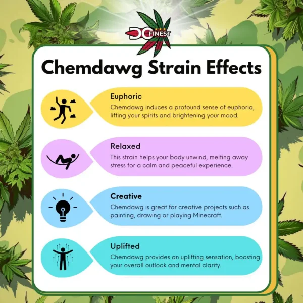 Chemdawg Strain Effects