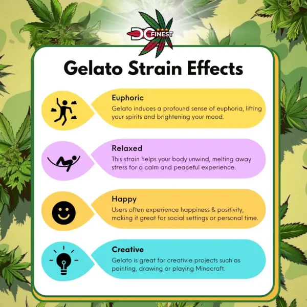 Gelato Strain Effects Infographic