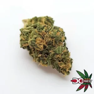 Venom OG Cannabis Strain