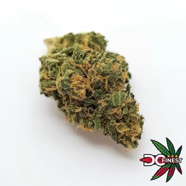 Venom OG Cannabis Strain