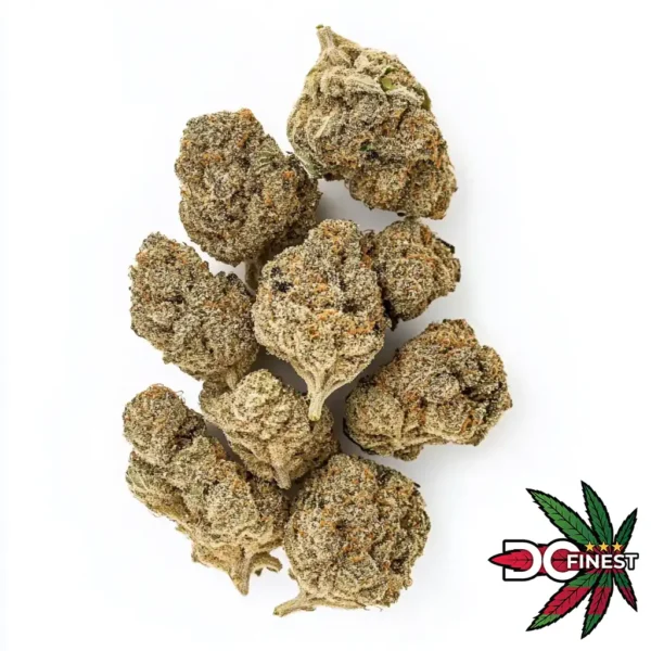 Gelato 45 Cannabis Strain
