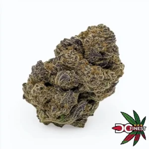 Purple Cream Indica Flower
