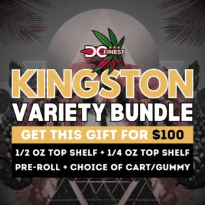 Kingston Variety Bundle