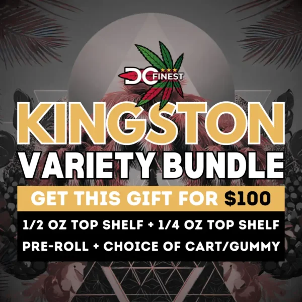 Kingston Variety Bundle