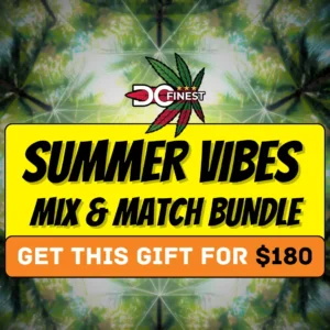 Summer Vibes Bundle