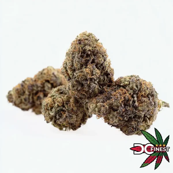 Sunset Sherbet Indica Hybrid