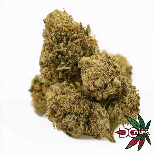 Tropical Runtz Hybrid