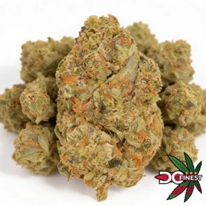 Rainbow Burst Indica Hybrid Flower