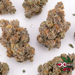 Gastro Pop Cannabis Strain Washington DC
