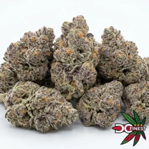 Oreoz Hybrid Flower
