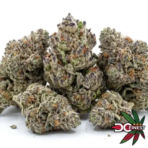 Girl Scout Cookies Cannabis Strain
